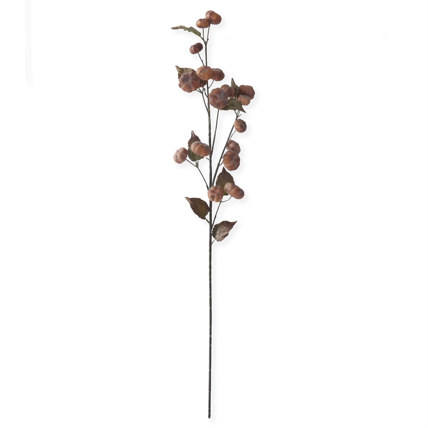 37 Inch Brown Pumpkin Stem