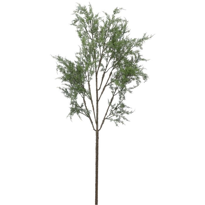 63" Natural Cedar Tree Branch