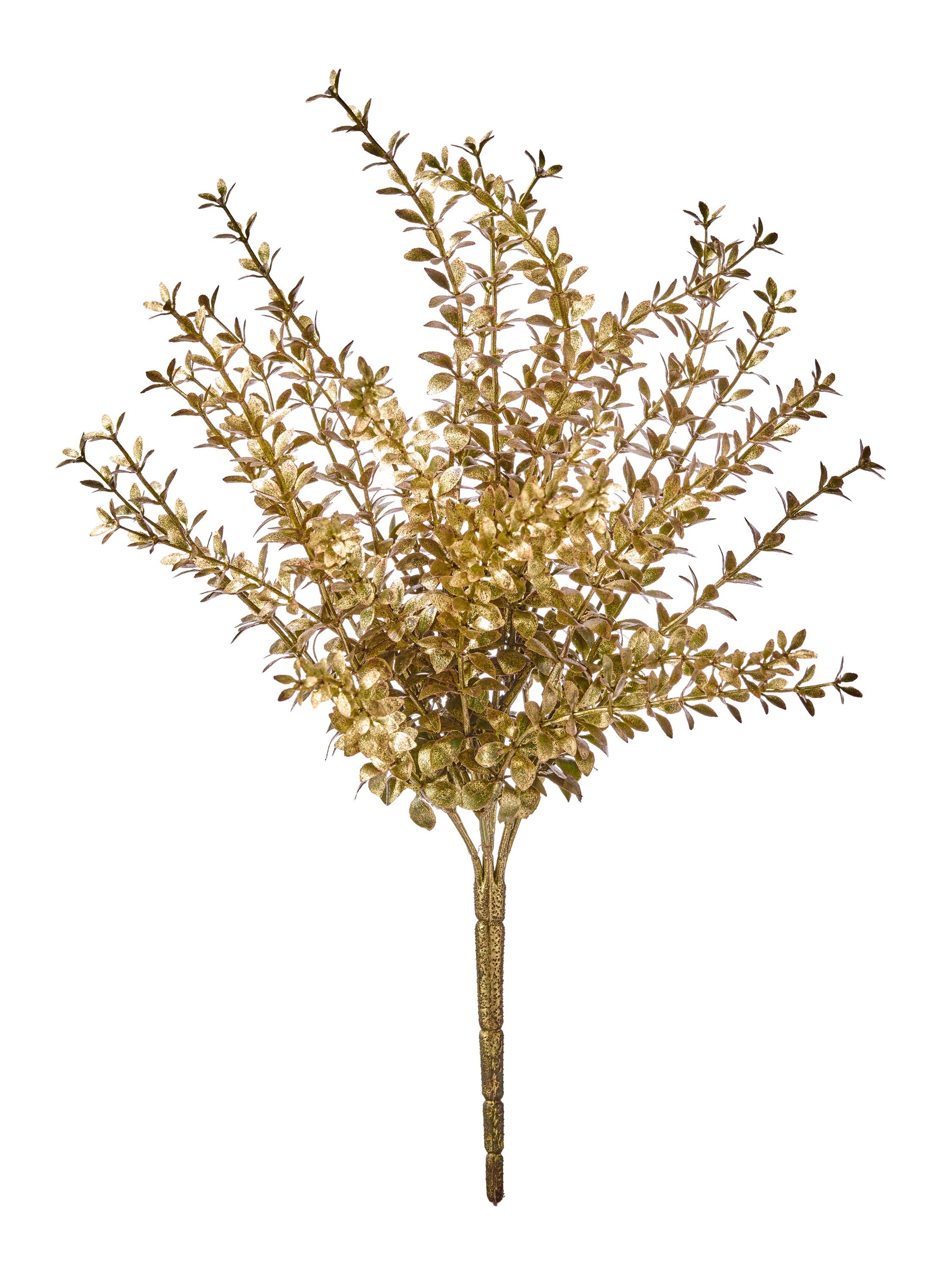 15" Mini Angel Ruscus Bush